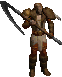 Druid
